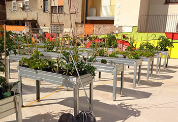 05_hort_urba