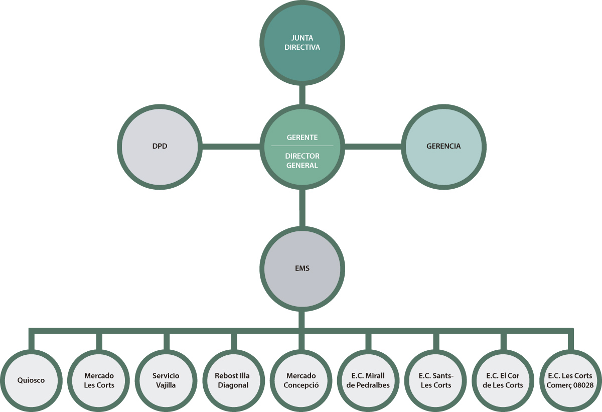 organigrama alcil